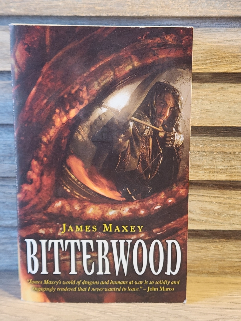🖤 Bitterwood by James Maxey Paperback Book Fantasy Adventure Dragons